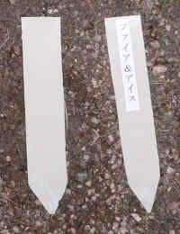 rabel1010221.jpg (154047 バイト)