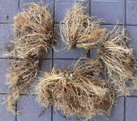 gibousi-uekae1010141.jpg (307814 oCg)