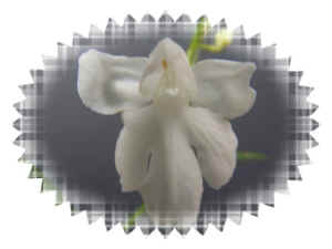 060625-25.jpg (23193 oCg)