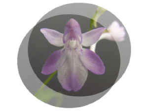060625-8.jpg (19654 oCg)