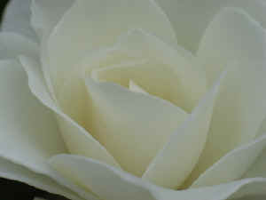 mei2006061804.jpg (48601 oCg)