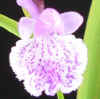 u1000683.jpg (13312 oCg)